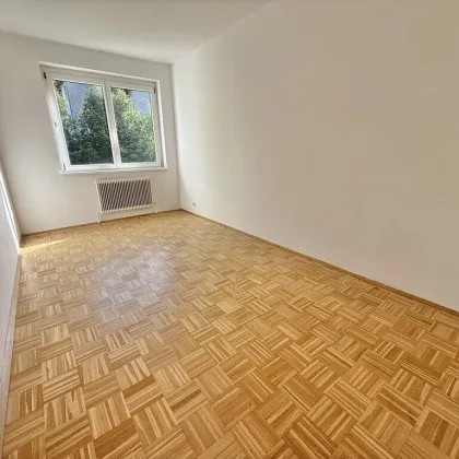 ***ATTRAKTIVES INVESTMENTPAKET IN PINKAFELD - WOHNUNGEN MIT LAUFENDEN MIETEINNAHME*** - Bild 3
