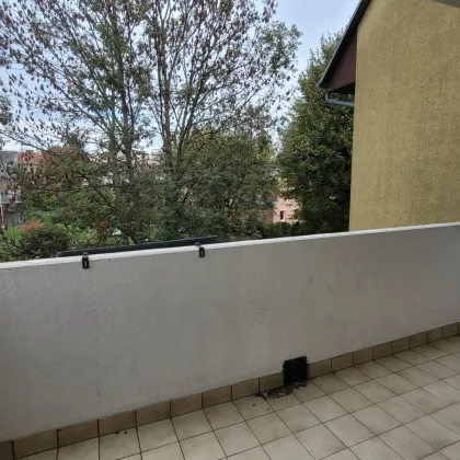 Charmante 2,5 Zi. mit Loggia - Bild 3
