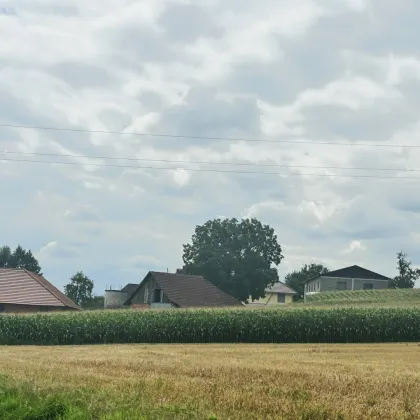 9ha Ackerland in Kematen an der Krems - Bild 3