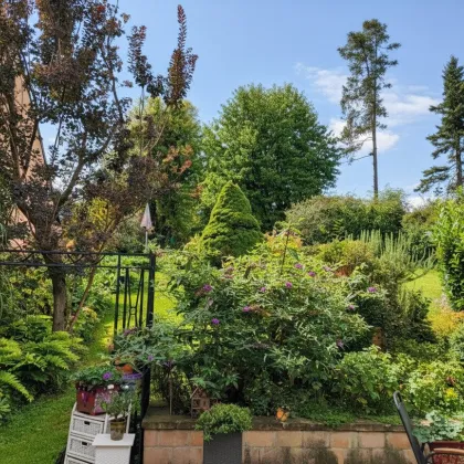 Einfamilienhaus inmitten eines grünen Gartenparadieses in Ulrichskirchen - Ihr neues Zuhause! - Bild 2