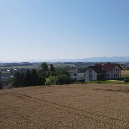 Dreifamilienhaus!!!!! Erstbezug mit Südbalkon, Carport und flexiblem Raumkonzept! - Bild 2