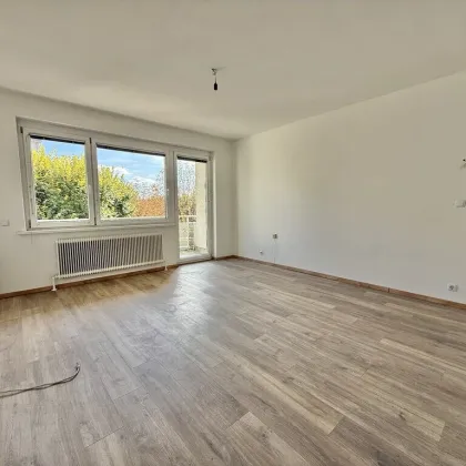 ***ATTRAKTIVES INVESTMENTPAKET IN PINKAFELD - WOHNUNGEN MIT LAUFENDEN MIETEINNAHME*** - Bild 2