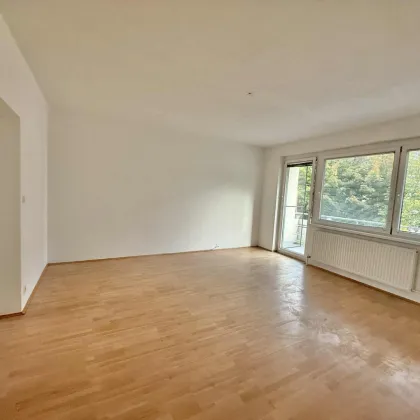 ***ERDGESCHOß-TRAUM IN PINKAFELD - MIT BALKON UND GARAGE *** - Bild 3