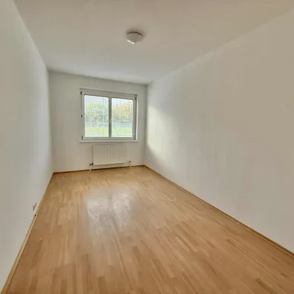 ***ATTRAKTIVES INVESTMENTPAKET IN PINKAFELD - WOHNUNGEN MIT LAUFENDEN MIETEINNAHME*** - Bild 3