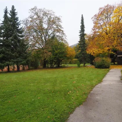 WUNDERSCHÖNE, GEPFLEGTE WOHNUNG MIT LOGGIA UND GARAGE - Bild 3