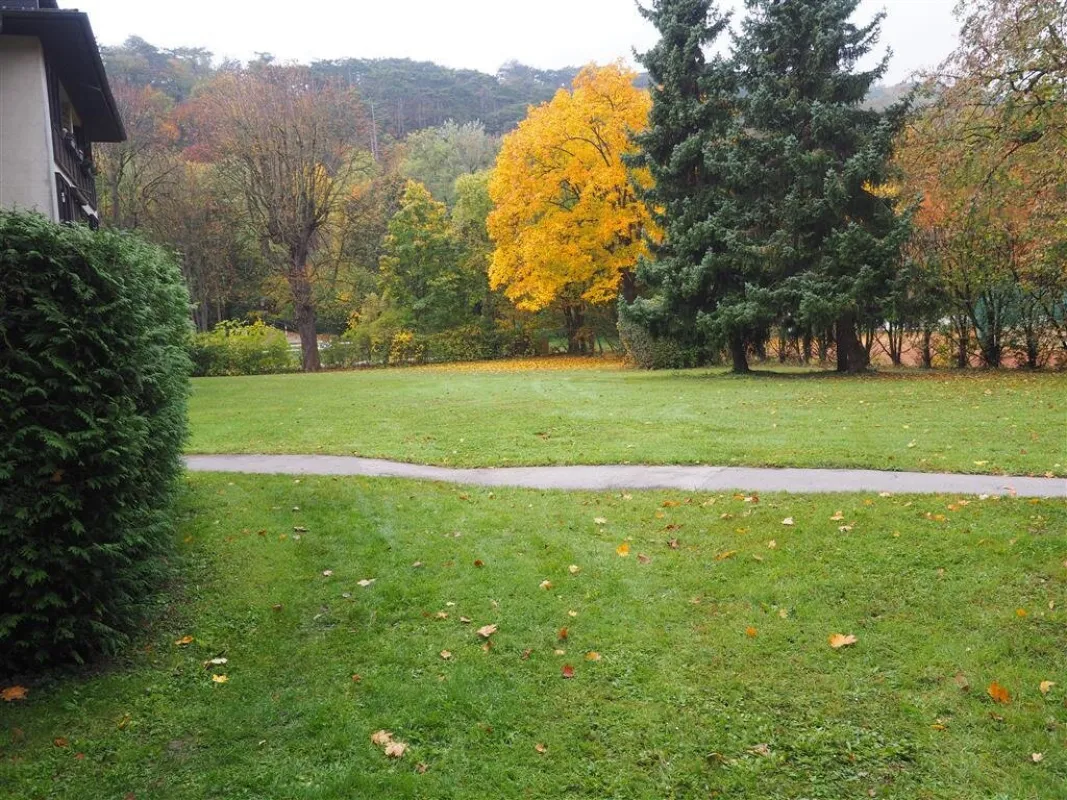 WUNDERSCHÖNE, GEPFLEGTE WOHNUNG MIT LOGGIA UND GARAGE - Bild 1