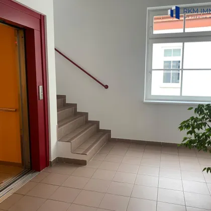 Exklusive Dachgeschosswohnung in Toplage des 17. Bezirks - mit Lift und Garage - Bild 2