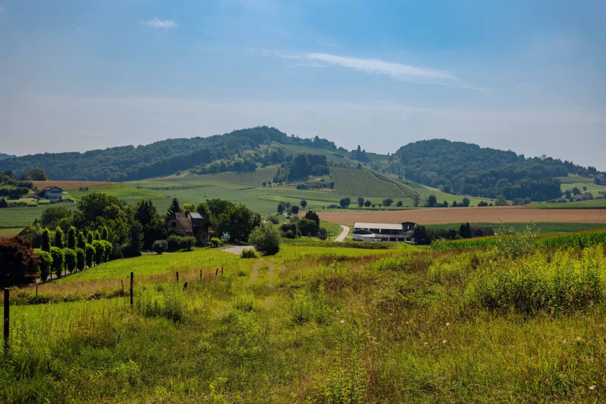 Baugrundstück mit Panorama und Waldrandlage – 20 Min. von Graz! - Bild 1