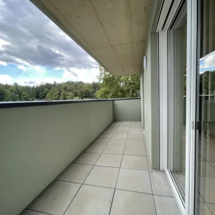 ANLAGE-WOHNUNG mit sehr guter Rendite - Bild 3