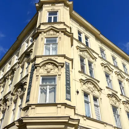 Klein. Fein. Mein. – frisch sanierte Wiener Altbauwohnung in Ruhelage mit Charme & Stil. Jetzt entdecken & verlieben! - Bild 2