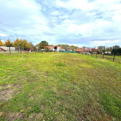 ++ Baugrund nahe Ungarn und Bratislava! ++ - Bild 3