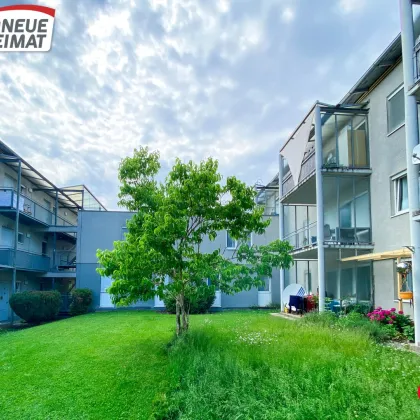 Gemütliche 3-Zimmer-Wohnung mit Garten und Terrasse in Schwertberg zu mieten! - Bild 3