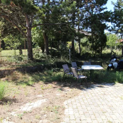 >>> SINGLEWOHNUNG in S-BAHNNÄHE - Bild 2