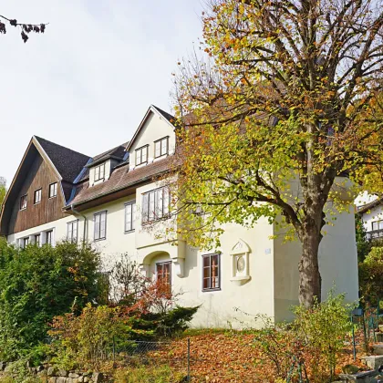 Großzügige 6-Zimmer-Wohnung im charmanten „Adlerhof“ - inkl. Eigengarten und Stellplatz - Bild 2
