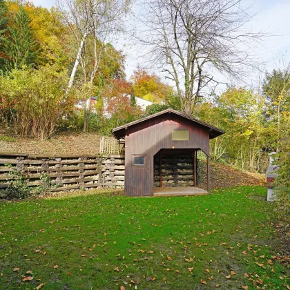 Großzügige 6-Zimmer-Wohnung im charmanten „Adlerhof“ - inkl. Eigengarten und Stellplatz - Bild 3