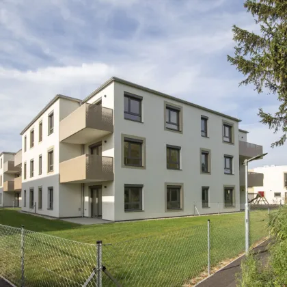 Gartenwohnung ab 01.01.2026: Wohnen im Weinviertel - Bild 2