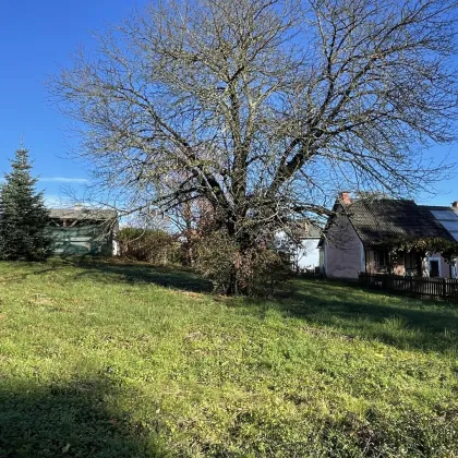 Sonniger Baugrund in familiärer Wohngegend - Bild 3