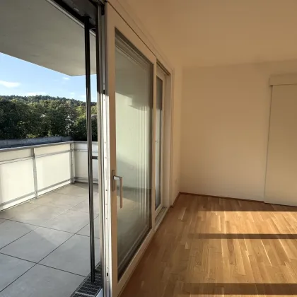 3 ZIMMER WOHNUNG MIT BISAMBERGBLICK & SCHWIMMBAD IM HAUS - Bild 2