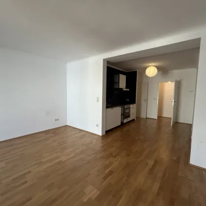 Reindorfgasse - zentral begehbarer 4-Zimmer Neubau zu vermieten - Bild 2