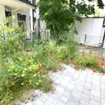 Altbauflair trifft modernen Wohnkomfort – Gartenidylle mitten in der Stadt - überzeugen Sie sich selbst von diesem 3- Zimmer-Wohntraum - Bild 3