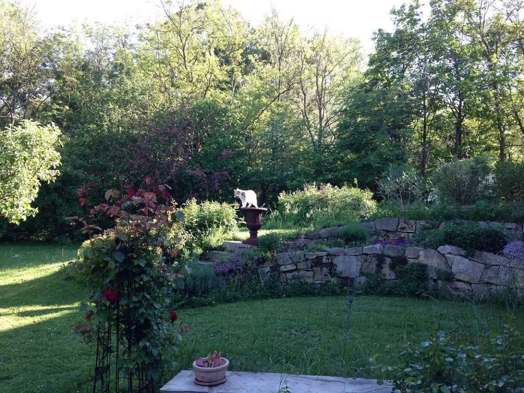 HARMONISCHE PRACHTLIEGENSCHAFT MIT SCHWIMMTEICH - Bild 1