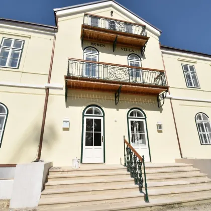 156,71m² Büro mit Terrasse in der Rosenvilla! - Bild 2