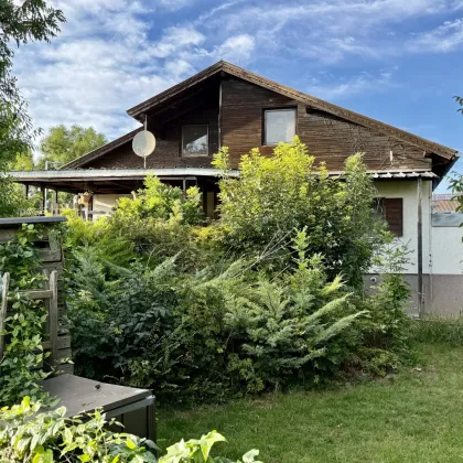 Viel Platz für neue Ideen! Einfamilienhaus mit großem Garten und Weitblick im Wiener Umland! Vielseitig nutzbar! - Bild 2