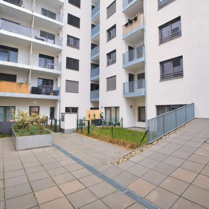 Moderne 2-Zimmer-Wohnung mit Loggia in 1210 Wien - Bild 3
