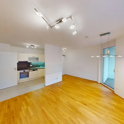 | NEUWERTIGE WOHNUNG MIT LOGGIA IM 3.STOCK | NÄHE FH TECHNIKUM | U6 DRESDNER STRASSE | TG-PLATZ VERFÜGBAR | - Bild 3