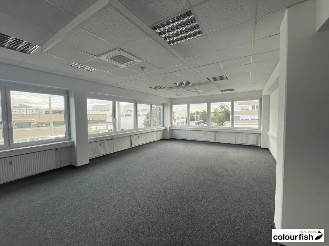 Moderne Bürofläche nähe U6 Perfektastraße - Bild 1