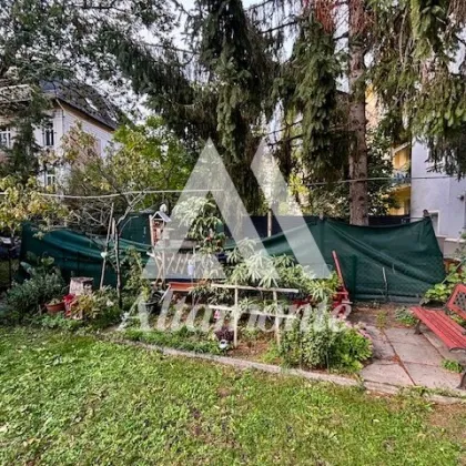 Kleines, attraktives Mehrfamilienhaus Nähe Schlosspark Schönbrunn - Bild 3