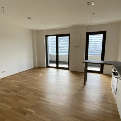 Microflat im Bruckner Tower, Top 10.15 - Bild 2