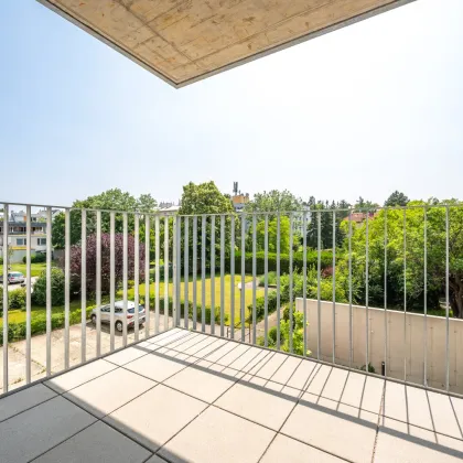 ERSTBEZUG | Sonnige 3-Zimmer-Wohnung mit Balkon - Bild 3