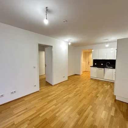 Kolo 35 - Tolle 2-Zimmer Wohnung mit Terrasse beim FAC-Platz nahe S-Bahn Jedlersdorf, Denglerpark und SCN - Ab Februar 2026! - Bild 2