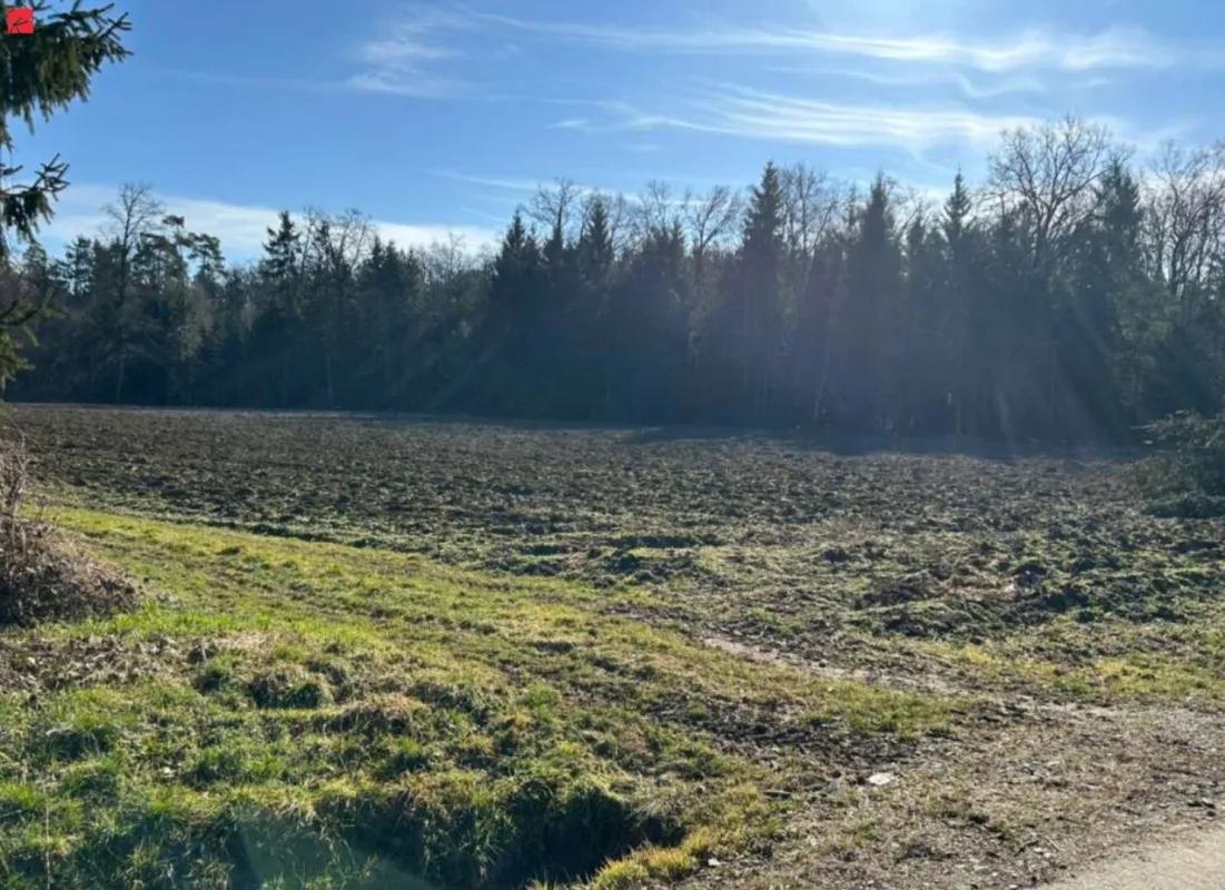 Acker- und Waldflächen im Bezirk Leibnitz - Bild 1