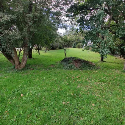 Wohnbaugrund in zentrumsnaher Lage von Neumarkt. - Bild 2