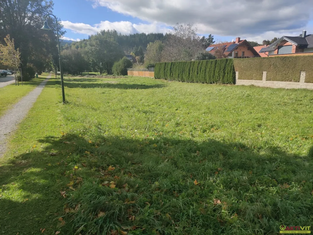 Wohngrundstück mit Potenzial in attraktiver Lage. - Bild 1