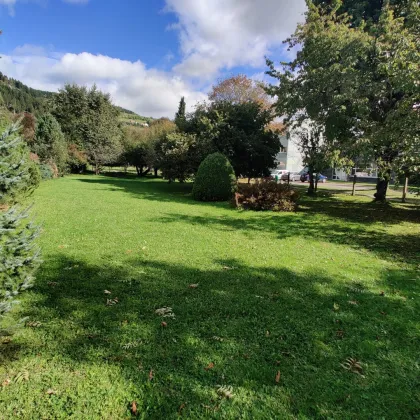 Wohngrundstück mit Potenzial in attraktiver Lage. - Bild 3