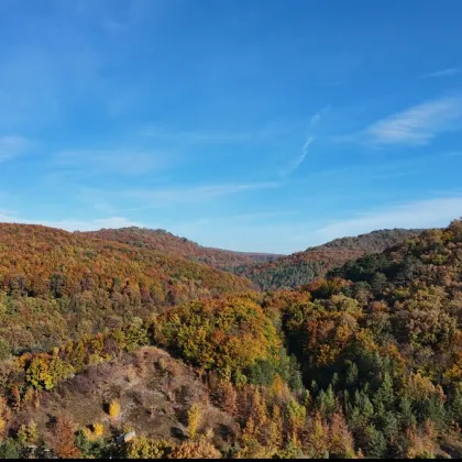 Alland ruft! - Bild 3