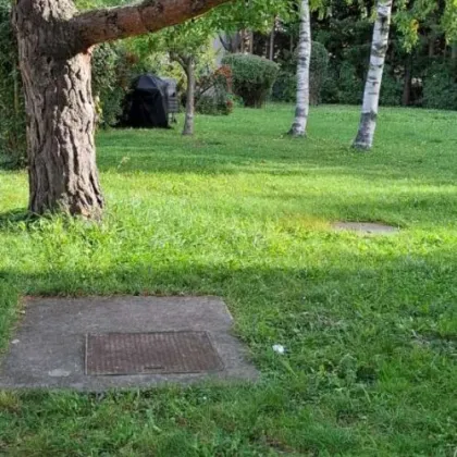 Wenn sie die Natur vor dem Fenster möchten und trotzdem nicht auf alle Annehmlichkeiten einer Stadt verzichten wollen sind sie hier genau richtig!! - Bild 2