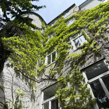 Bestandsfreies Eckzinshaus in Hietzing - Bild 2