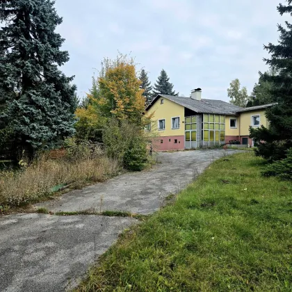 Ihr Rückzugsort im Grünen – Wohnen mit 4.000 m² Gartenidylle - Ein Haus mit Potenzial in Felling - Bild 2