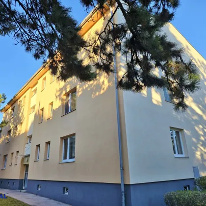 tolle 2 Zimmer Wohnung, extra Küche - Bild 3