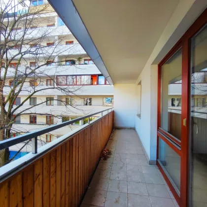 BLICK INS GRÜNE - 2 Zimmer mit Loggia direkt bei der U6 - Bild 3