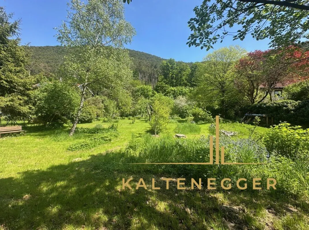 Großzügiges Baugrundstück – sonnig, eben und von Natur umgeben - Bild 1