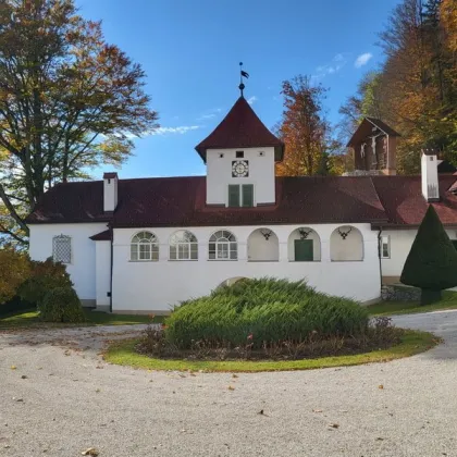 Renaissance-Schloss auf 15 ha Grund – seltene Gelegenheit für touristische Nutzung oder Family Office - Bild 2