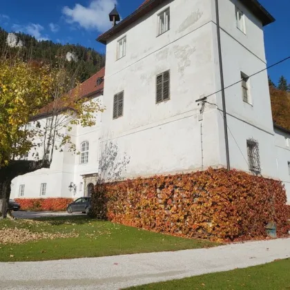 Renaissance-Schloss auf 15 ha Grund – seltene Gelegenheit für touristische Nutzung oder Family Office - Bild 3