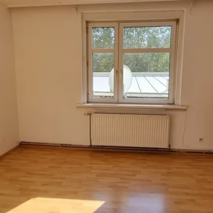HELLE, SONNIGE 2-ZIMMER-WOHNUNG NAHE BHF FLORIDSDORF - Bild 2
