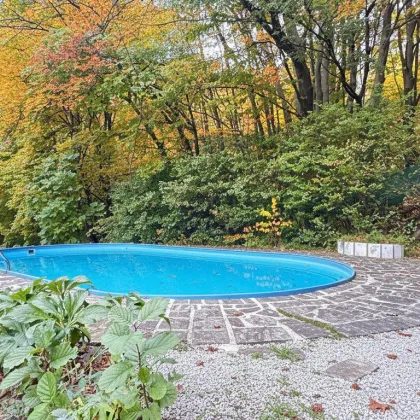 Verstecktes Juwel am Wienerwald - Bild 3