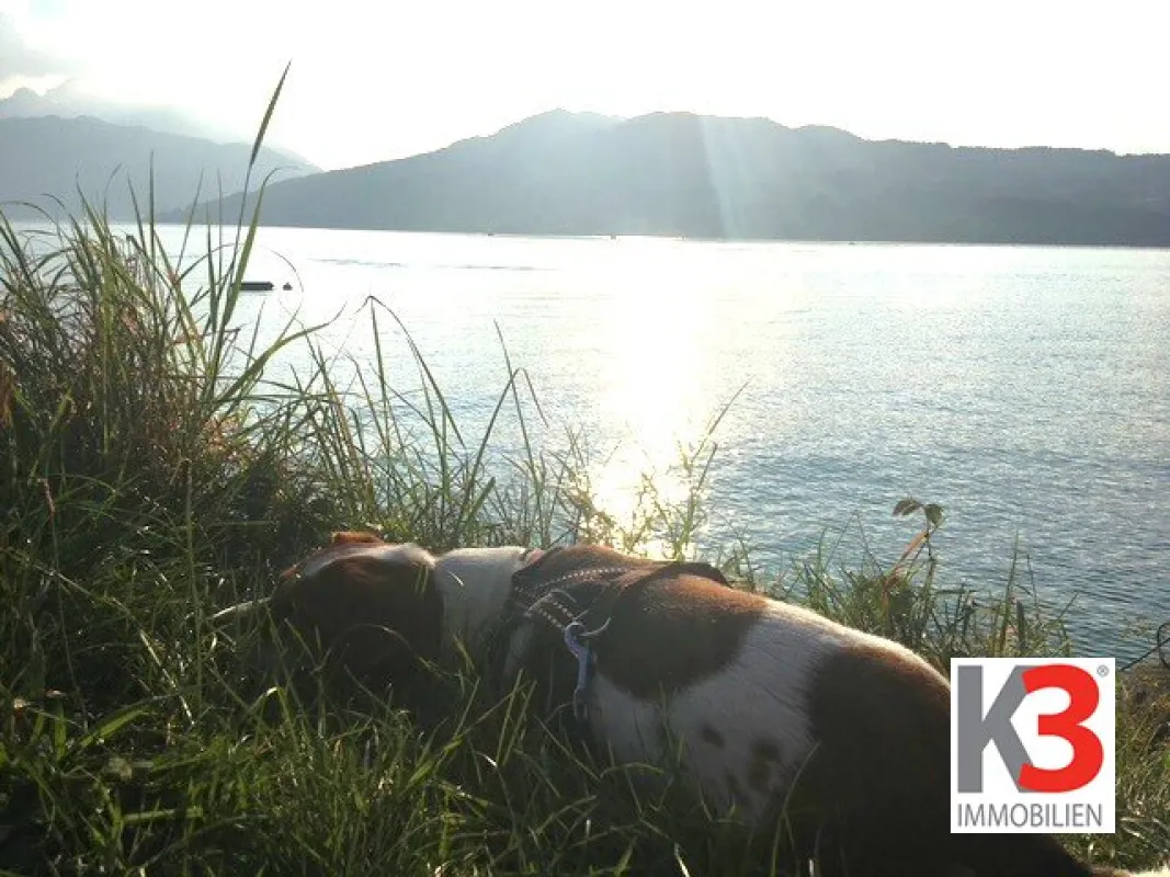 K3 - SELTENE GELEGENHEIT - Baugrundstück   I N K L U S I V E   Benutzungsrecht für BADEPLATZ! Wohnen am traumhaften ATTERSEE! - Bild 1